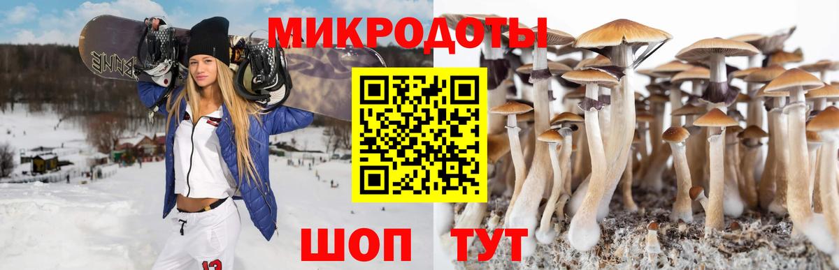 Псилоцибиновые грибы Psilocybine cubensis Семилуки